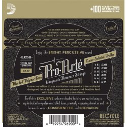 D'Addario EJ25B, Flamenco Black